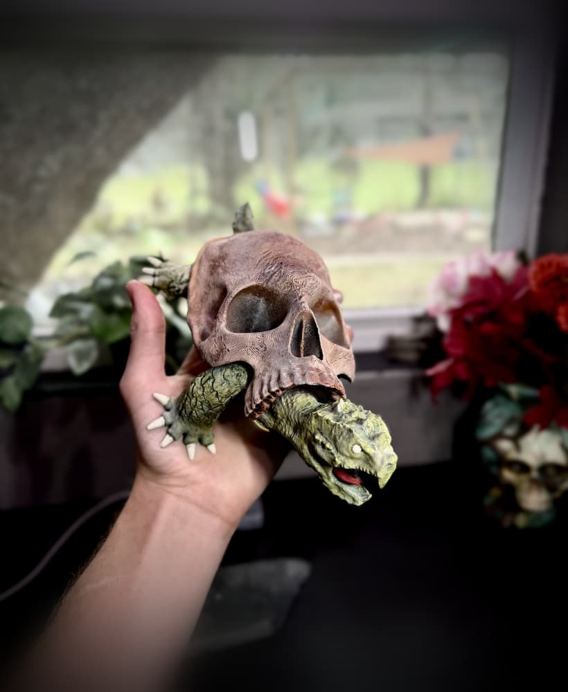 Skull Snapping Turtle