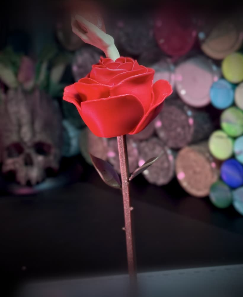 Rose of Life