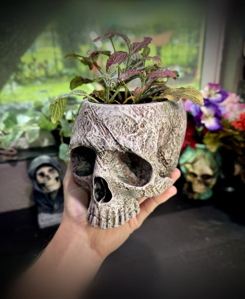 Stone skull planter