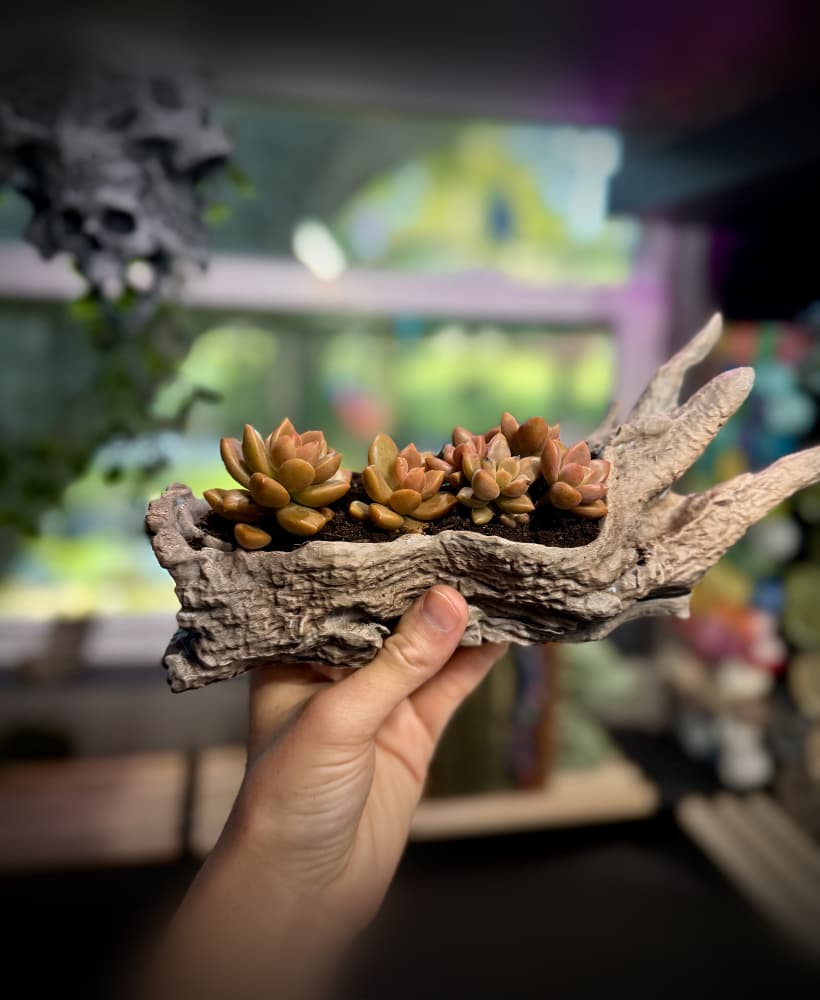 Wood planter
