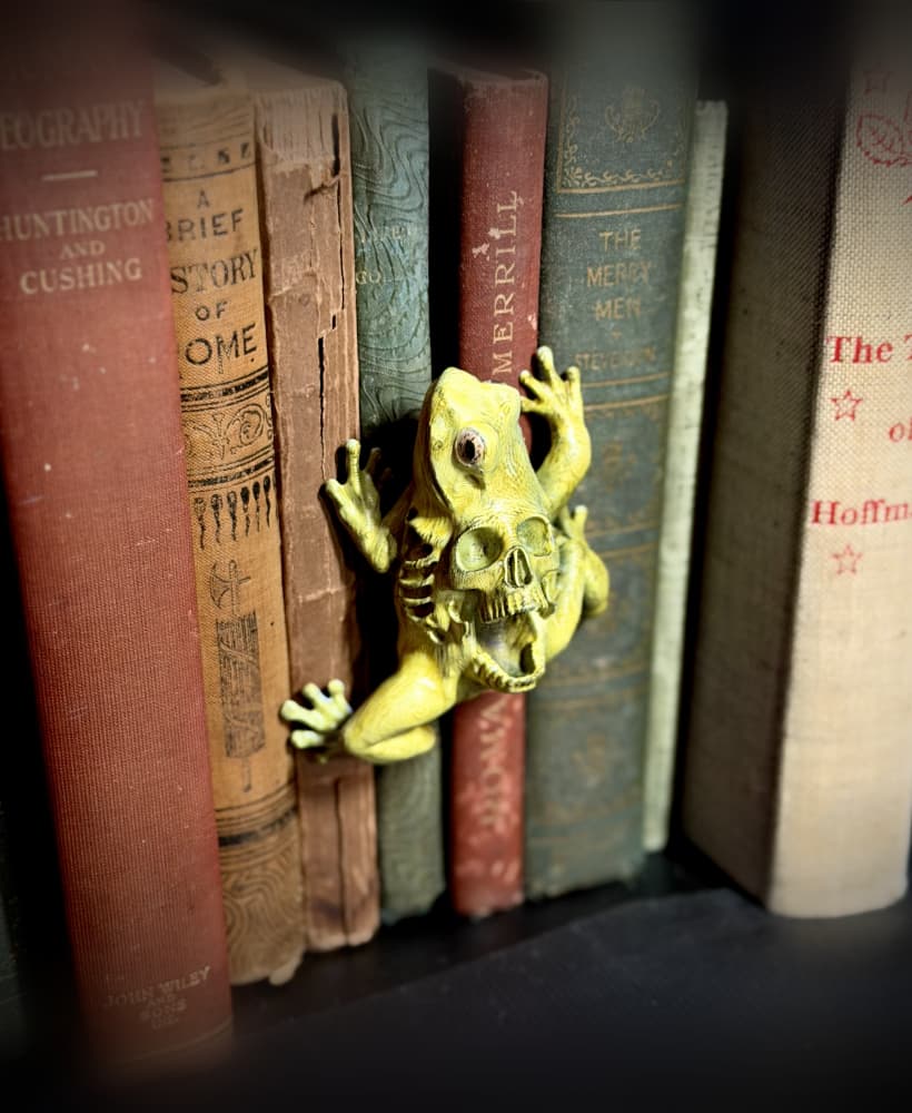 Skull frog spine hugger