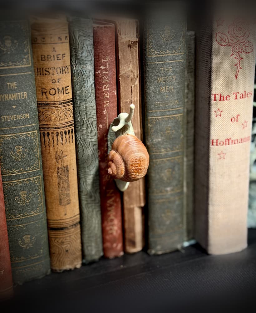 Snail spine hugger