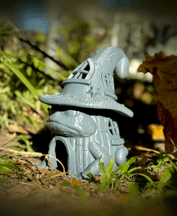 Wizard Wartys hut