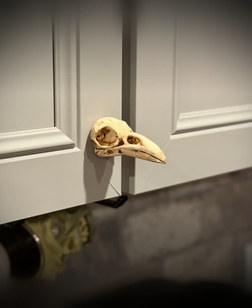 Raven skull drawer pull