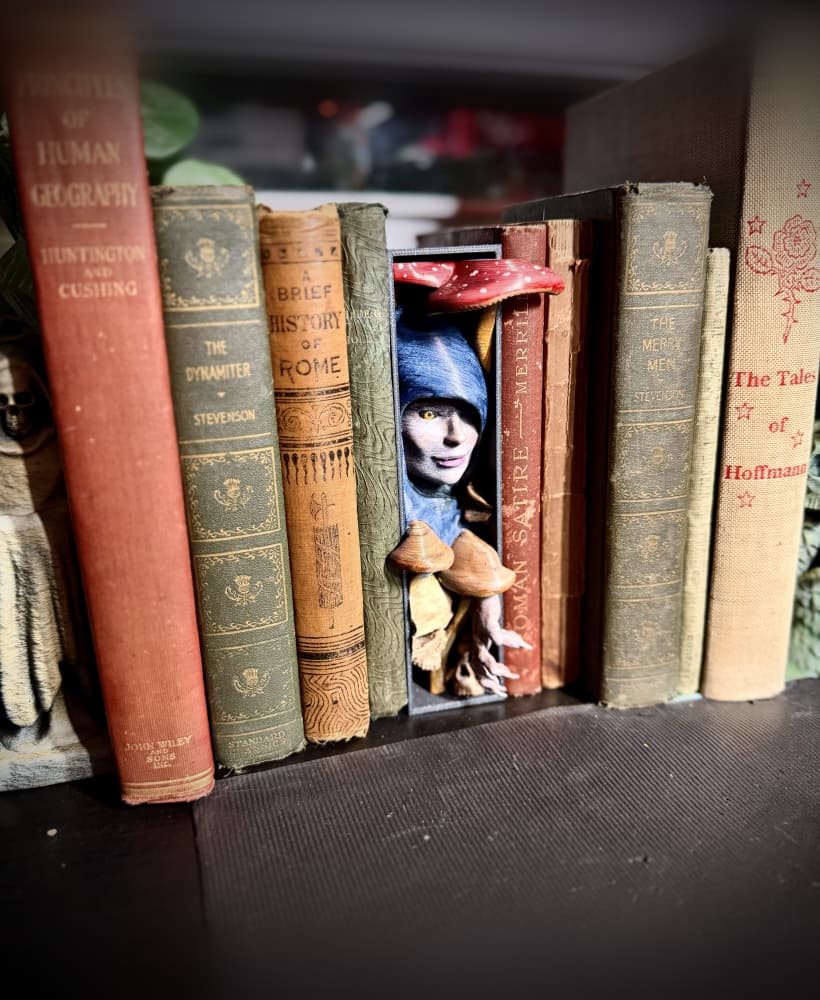 The mushroom witch booknook