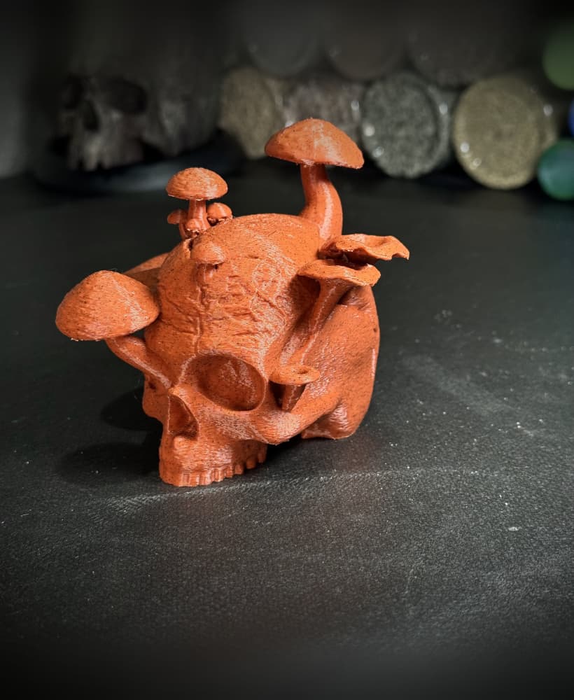 The Reclaimed Skull