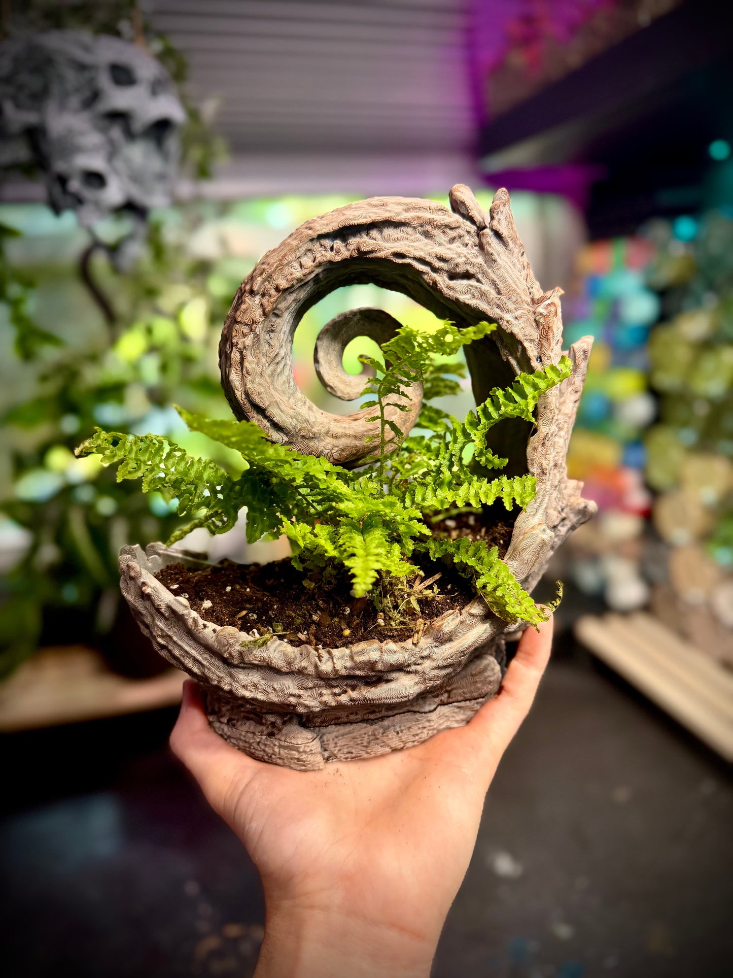 Spiral wood planter