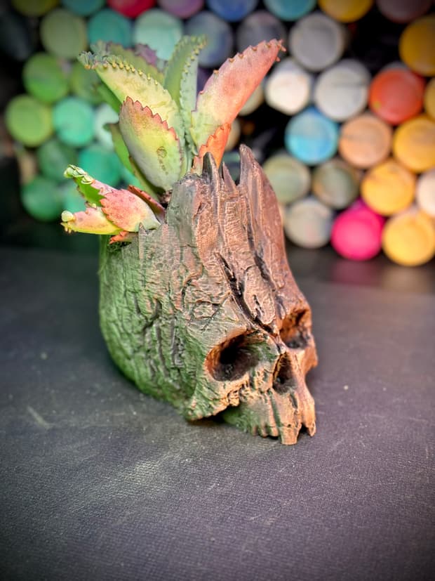 The skull of life