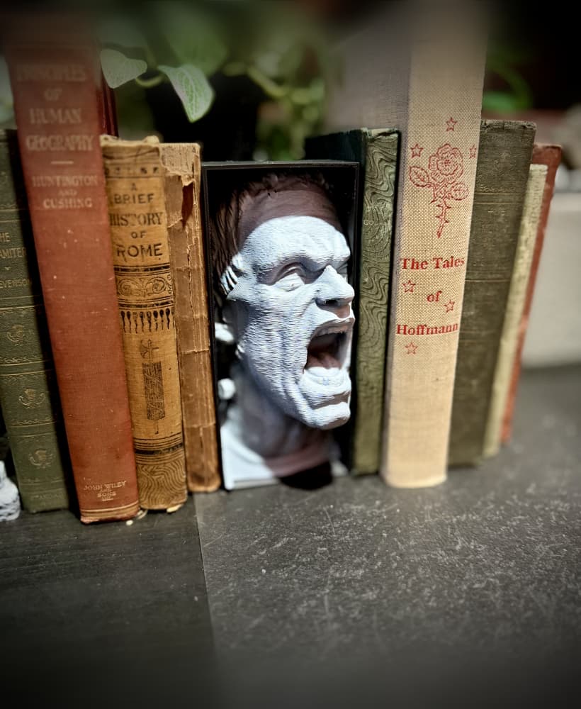 Frankenstein booknook
