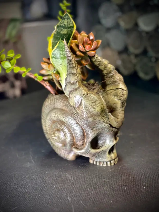 Skull of the demon snail planter.stl