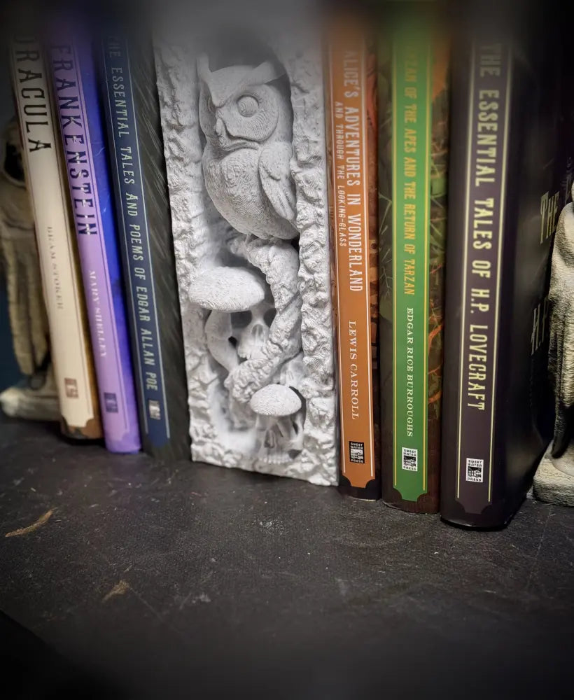 Owl skull booknook