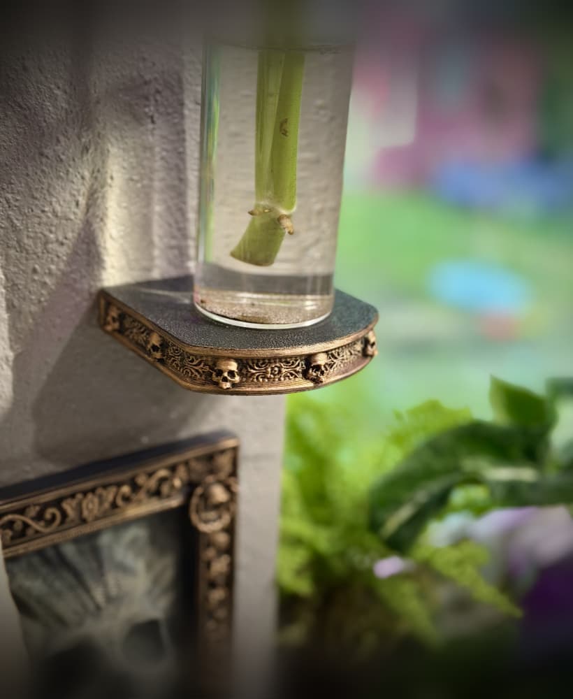 3" gothic wall shelf