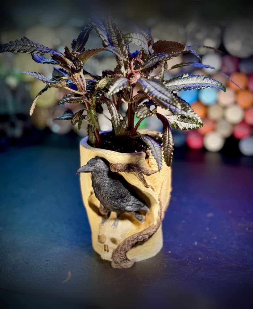 The Raven's skull planter