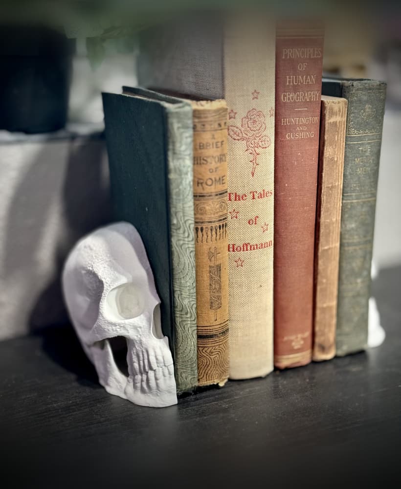 Skull bookends